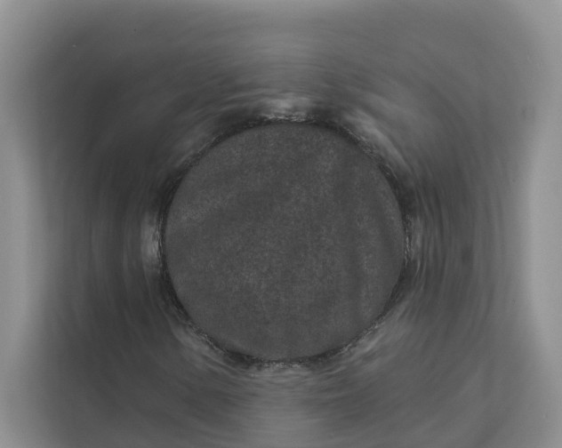 X0000111871154200908061248