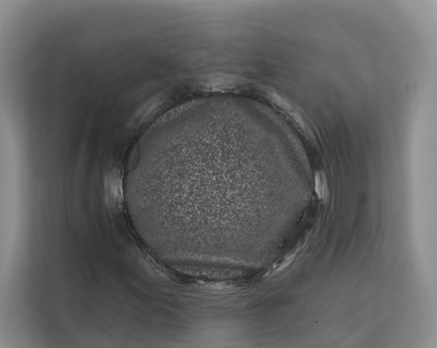 X0000111871155200908061248