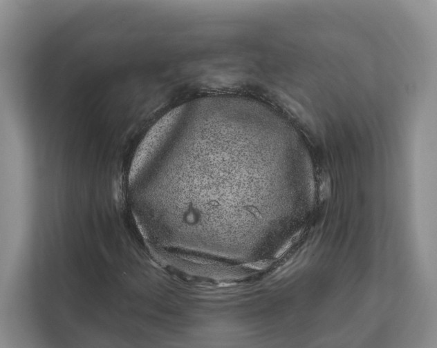 X0000111871156200908061248