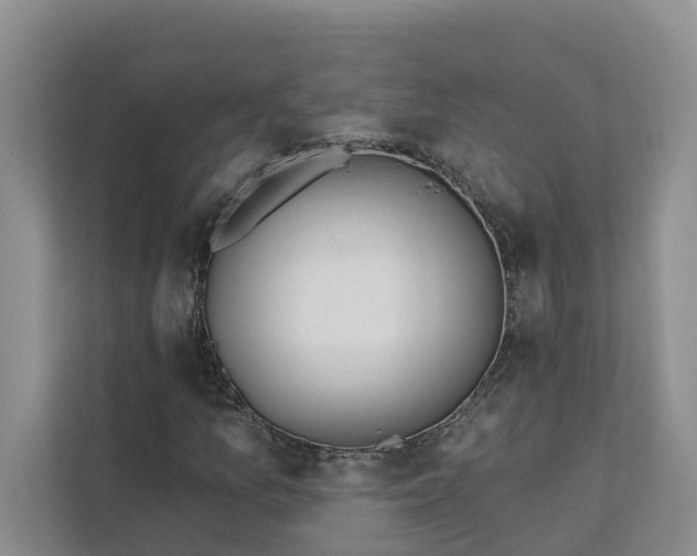 X0000111871157200908061248