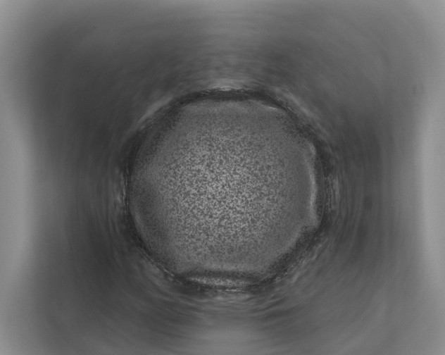 X0000111871158200908061248