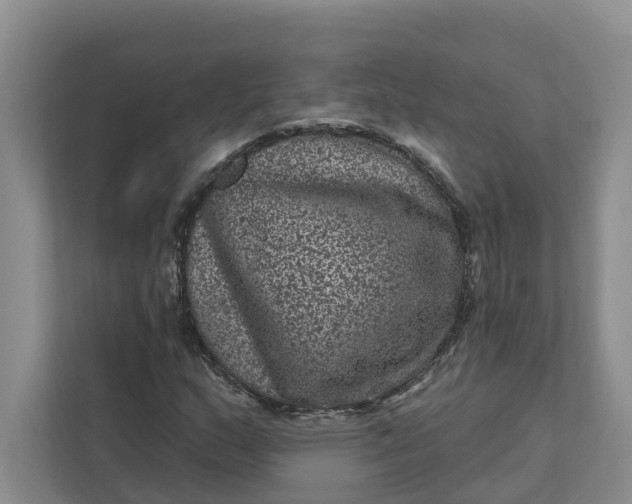 X0000111871159200908061248