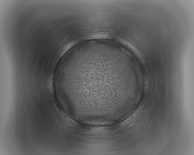 X0000111871162200908061248