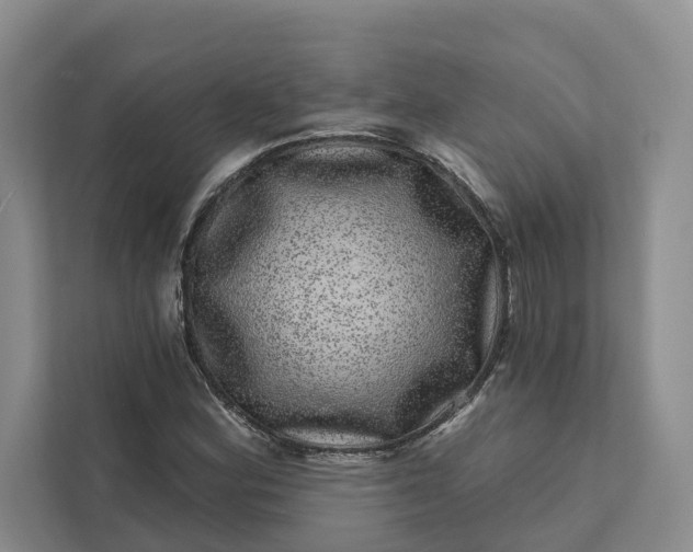 X0000111871164200908061248