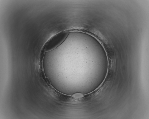 X0000111871165200908061248