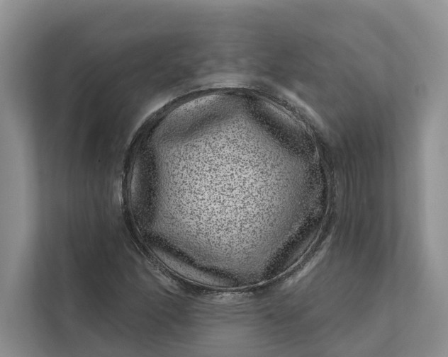 X0000111871166200908061248