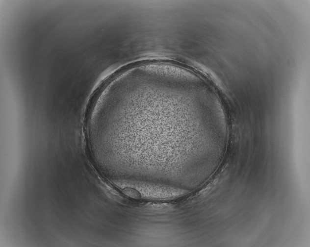 X0000111871168200908061248