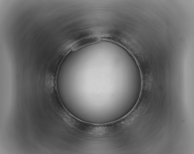 X0000111871169200908061248