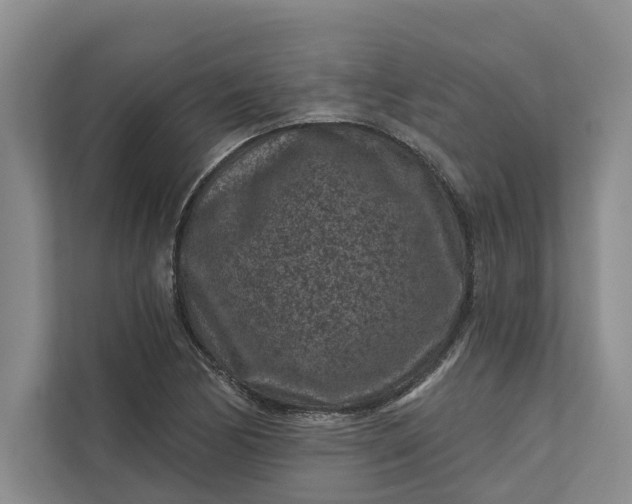 X0000111871170200908061248