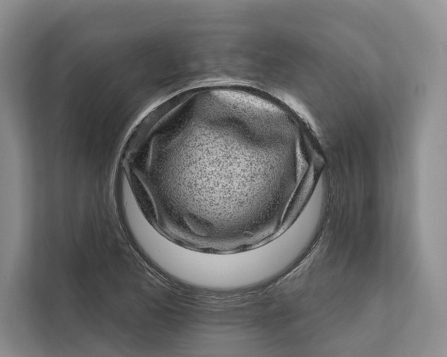 X0000111871173200908061248