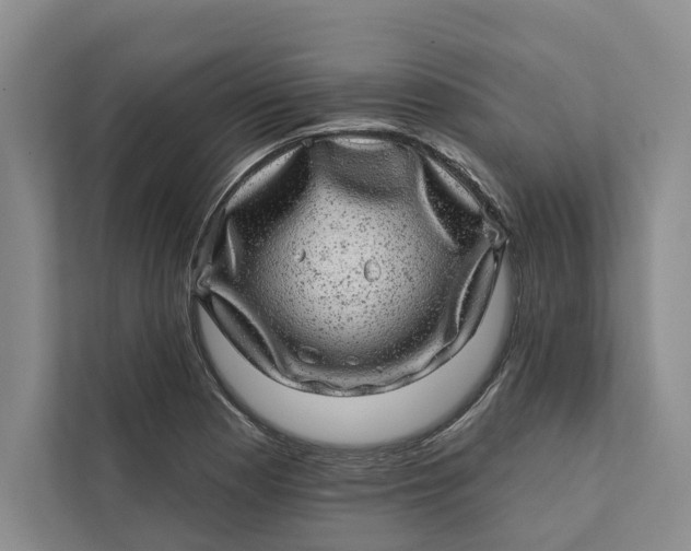 X0000111871177200908061248