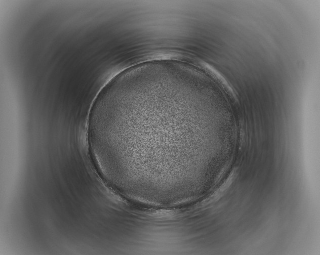 X0000111871178200908061248