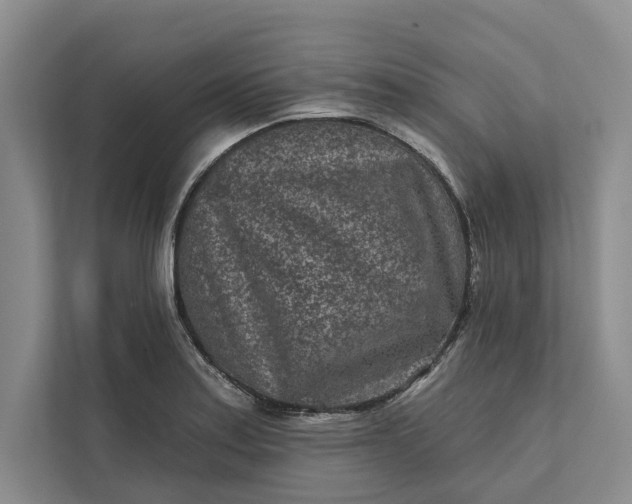 X0000111871179200908061248