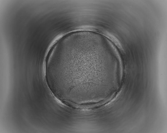 X0000111871180200908061248