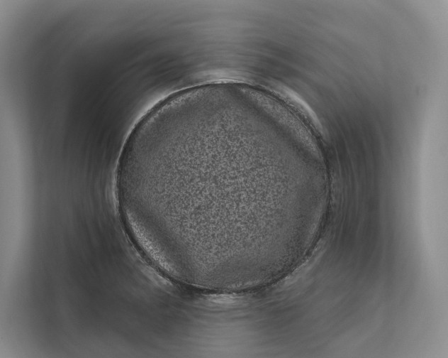 X0000111871182200908061248