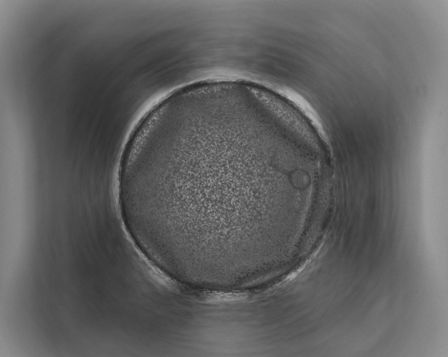 X0000111871183200908061248