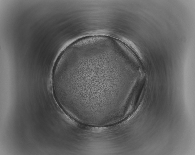 X0000111871184200908061248