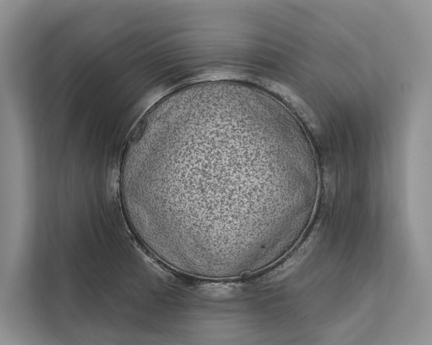 X0000111871185200908061248