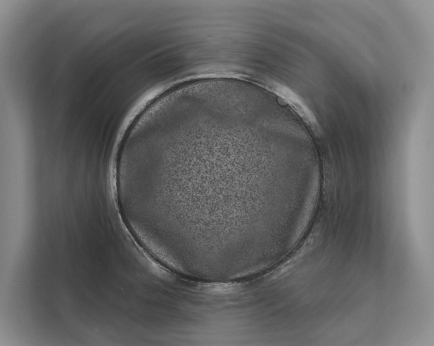 X0000111871188200908061248