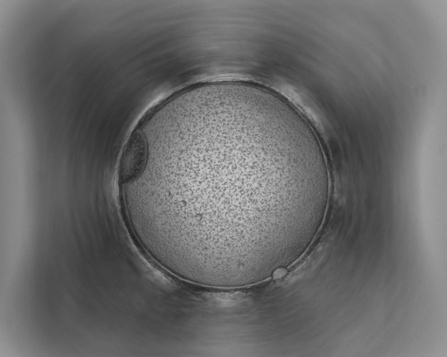 X0000111871189200908061248