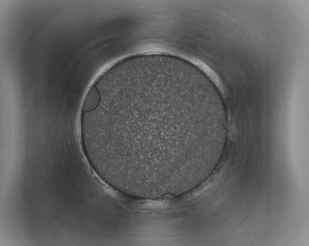 X0000111871191200908061248