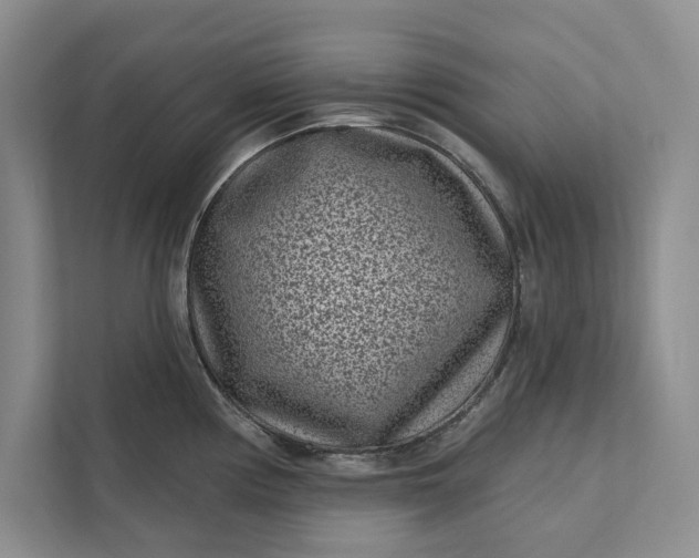 X0000111871194200908061248