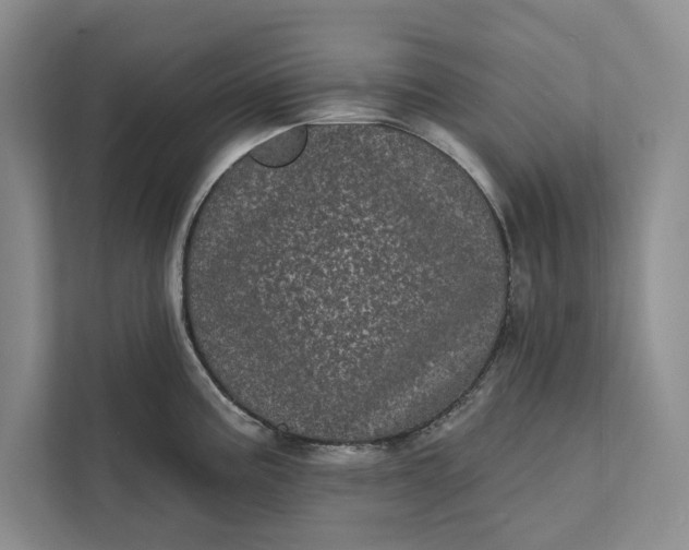 X0000111871195200908061248