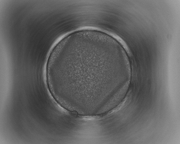 X0000111871199200908061247