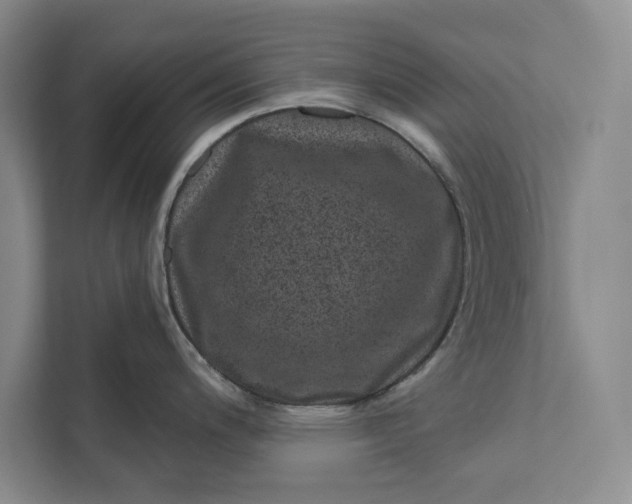 X0000111871200200908061247