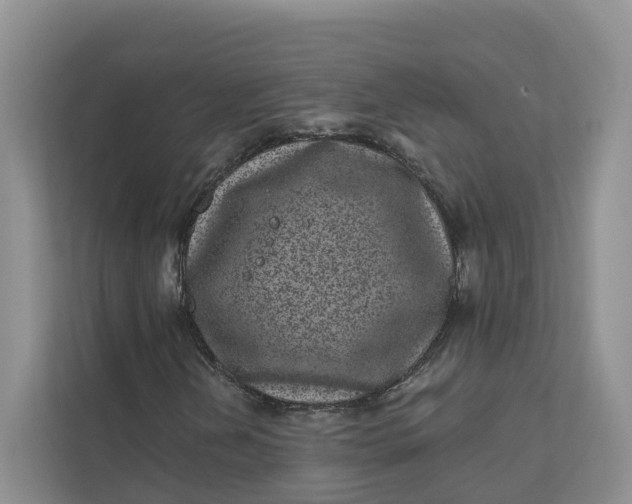 X0000111871202200908061247