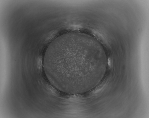 X0000111871203200908061247