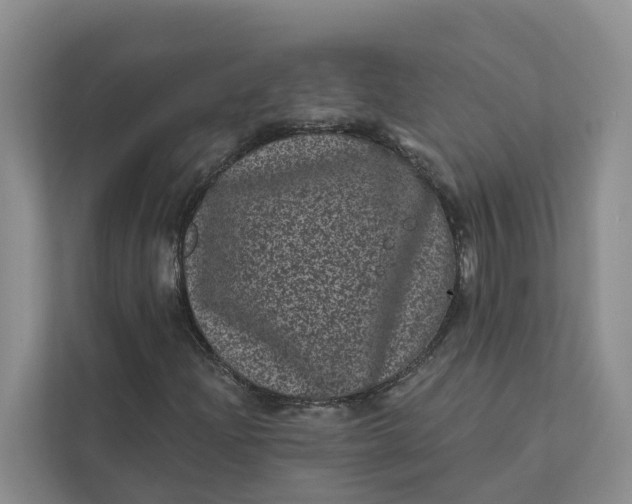 X0000111871204200908061247