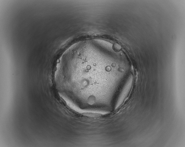 X0000111871205200908061247