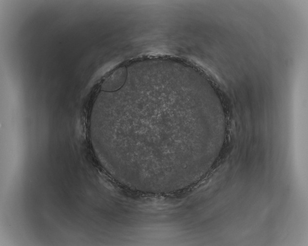 X0000111871207200908061247