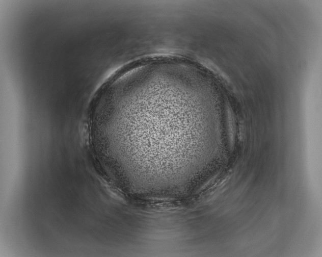 X0000111871208200908061247