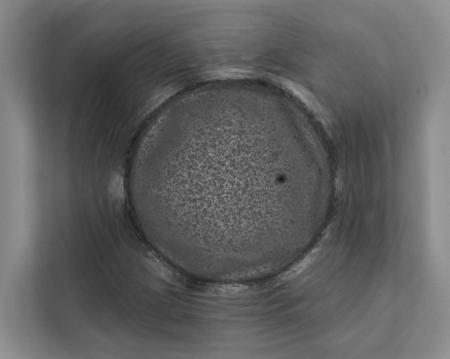 X0000111871209200908061247