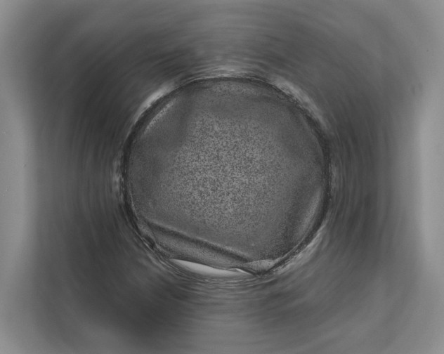 X0000111871210200908061247