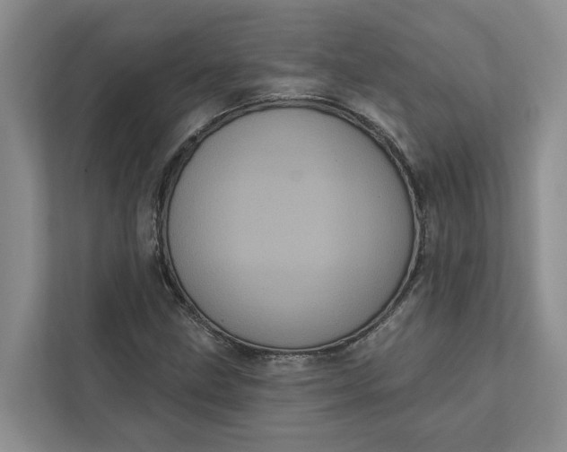 X0000111871211200908061247