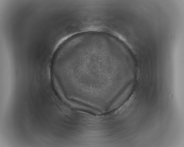 X0000111871214200908061247