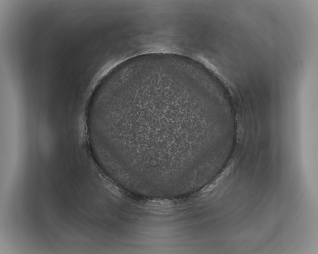 X0000111871215200908061247