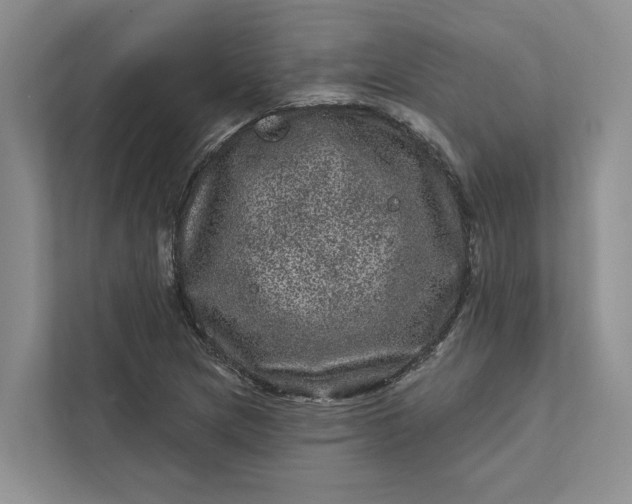 X0000111871217200908061247