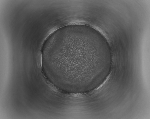 X0000111871219200908061247