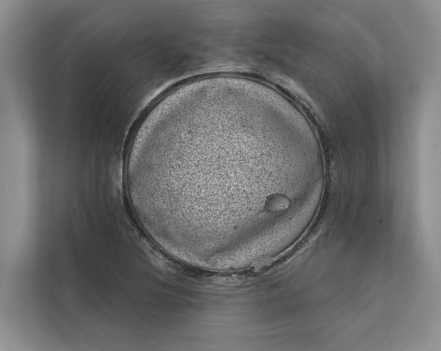 X0000111871220200908061247