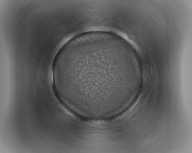 X0000111871221200908061247