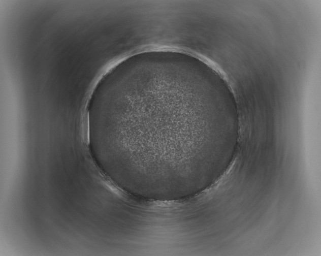 X0000111871223200908061247