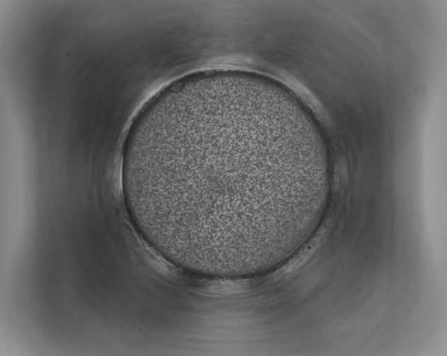 X0000111871224200908061247