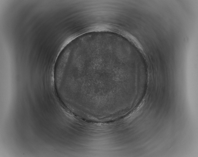 X0000111871226200908061247