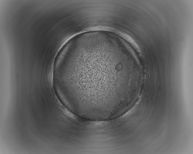 X0000111871228200908061247