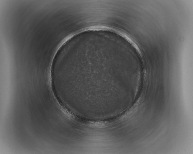 X0000111871229200908061247