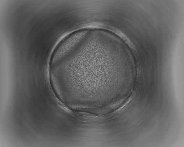 X0000111871232200908061247